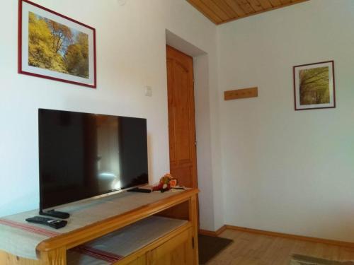 sala de estar con TV de pantalla plana grande en Casa Lacul Mierlei, en Sovata