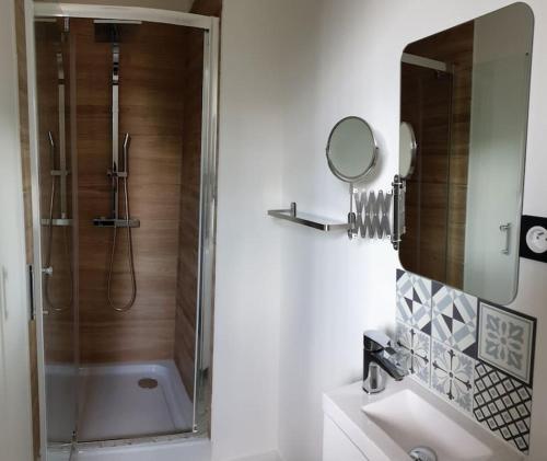uma casa de banho com um chuveiro, um lavatório e um espelho. em Villeurbanne 100 m2 Superbe appartement 3 Chambres, 3 salle de bains em Villeurbanne