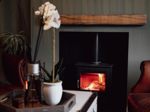 a living room with a fireplace and a plant at Stag Cottage in Macclesfield