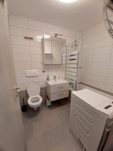 a white bathroom with a toilet and a sink at StayInn Möckern - 1 Zimmer Apartment für 3 Personen in Leipzig