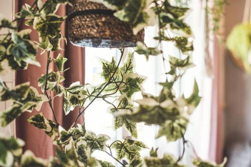 a potted plant with a lamp in front of a window at The Old Shop, Studio Hideout, Stoke Fleming in Stoke Fleming