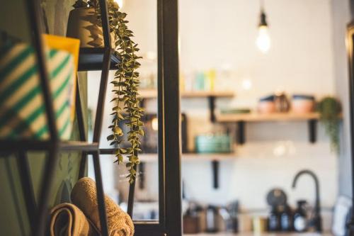 a room with a window with a plant on a shelf at The Old Shop, Studio Hideout, Stoke Fleming in Stoke Fleming