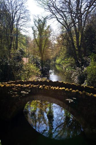 a stone bridge over a river in a park at Jesmond Dene House in Newcastle upon Tyne