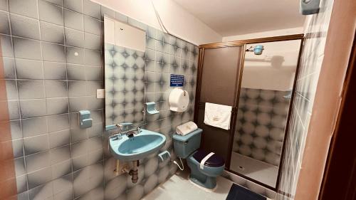 Baño pequeño con lavabo y aseo en Hotel Rook INN, en Paipa