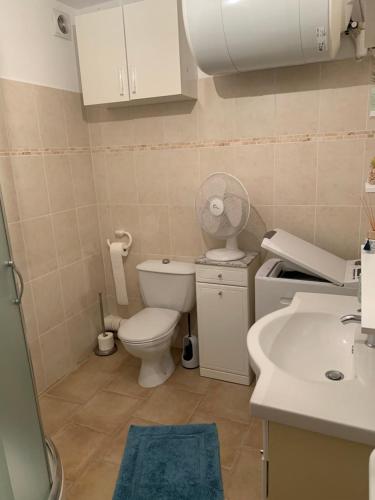 une petite salle de bain avec toilettes et lavabo dans l'établissement Studio tout équipé de 27m2, à 100m de la mer, et 500m des commerces, à Algajola