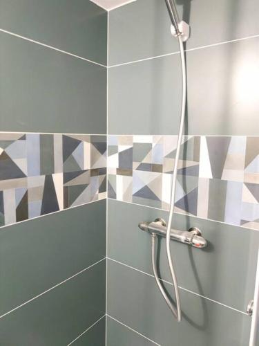 une douche avec un tuyau dans une salle de bain dans l'établissement Da Vinci - Studio Charmant, à Amboise