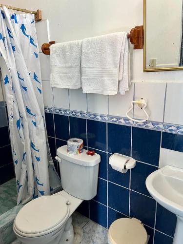 Kopalnica v nastanitvi Hostal Villamil