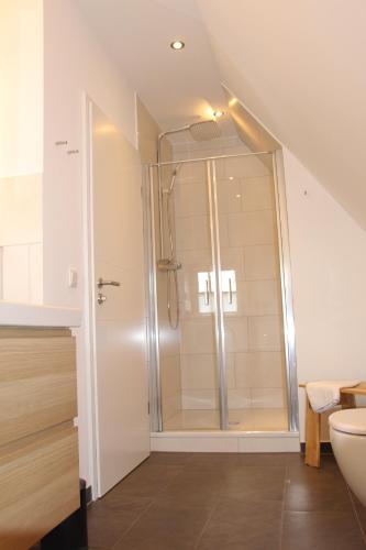 a bathroom with a shower and a toilet at Ferienhaus Alwine in Jork