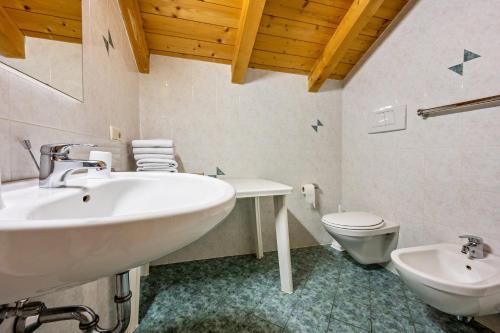 un bagno con lavandino e WC di Lindenhof Apt 1 a Vandoies