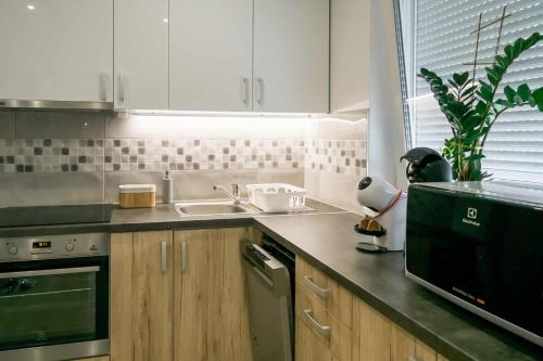 Dévai-LUX Apartman Sárvárにあるキッチンまたは簡易キッチン