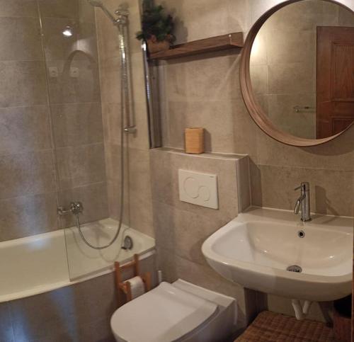 y baño con lavabo, aseo y espejo. en Cozy apartment in the heart of the Alps en Chateau-d'Oex