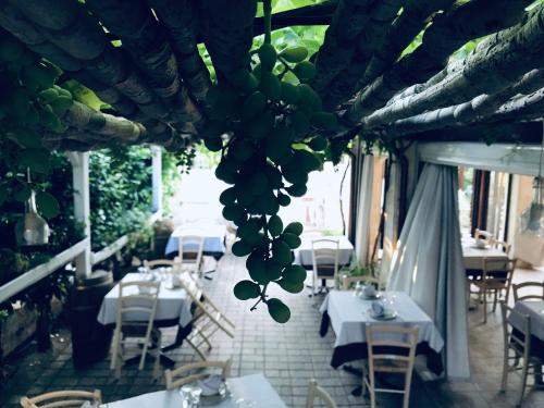 Restaurant ou autre lieu de restauration dans l'établissement U Ceccenate