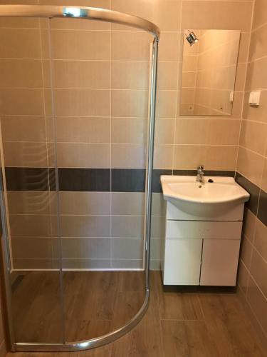 a bathroom with a shower and a sink at Apartmán Karhule (pod Blaníkem) 