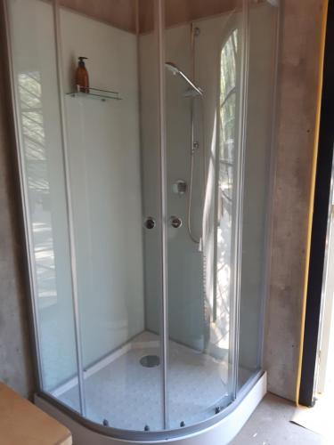 a shower with a glass door in a bathroom at Natuurslaapkamer de zaadeest boskamer in Lomm