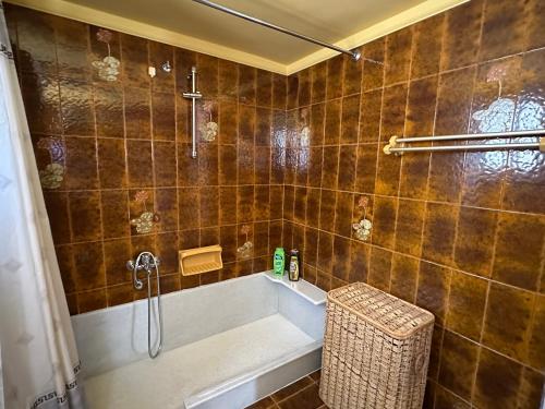 a bathroom with a bath tub and a shower at Molly’s Home in Víssa
