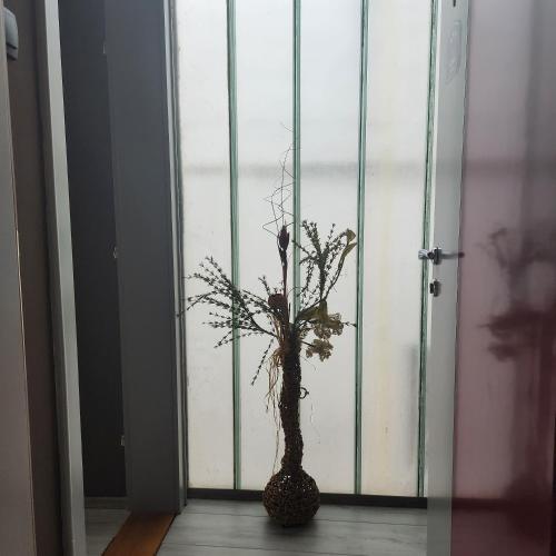 a vase with a plant in front of a door at IN CLUB in Vrnjačka Banja