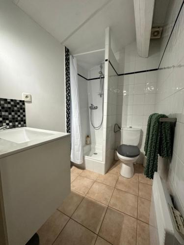 莫吉奧的住宿－Le mas du bosc，浴室配有卫生间、淋浴和盥洗盆。