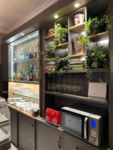 a kitchen with a counter with plants and a microwave at Hotel Umbria in Perugia