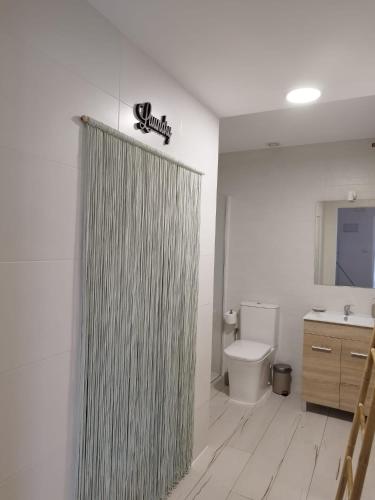 y baño con cortina de ducha y aseo. en Un Lugar Llamado Descanso en Monfrague en Torrejón el Rubio