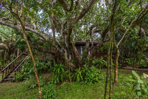 Imvubu Lodge – Photos 5