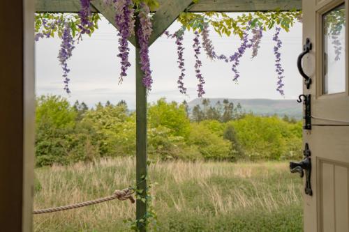 an open door with a view of a field at Little Oakhurst in Clitheroe