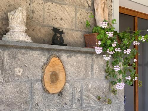 Fotografie z fotogalerie ubytování Villa Flore v destinaci Colli di Fontanelle