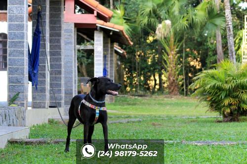 a black dog standing in the grass in front of a house at Pousada Tapera in Penedo