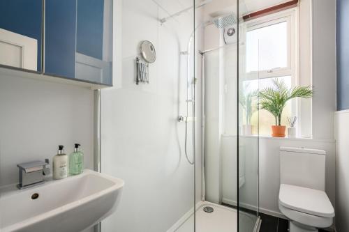 a bathroom with a shower and a sink and a toilet at The Holyrood Park Apartment in Edinburgh