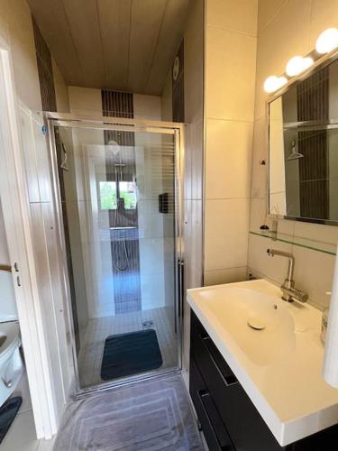 une salle de bain avec une douche, un lavabo et des toilettes dans l'établissement L'Escale Des Voyageurs, à Chalindrey