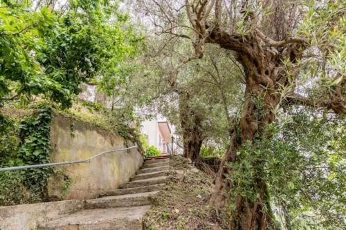 Casa Balsima 55 – عکس‌ها 5