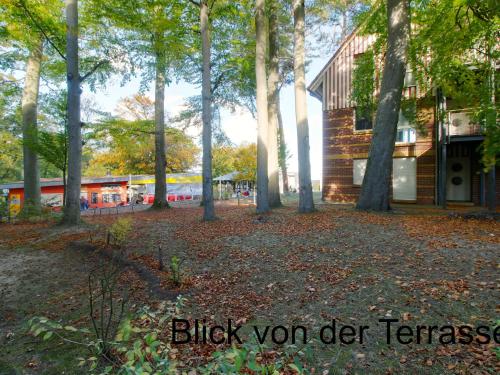 a group of trees in front of a building at Apartment Jeschek by Interhome in Ostseebad Koserow