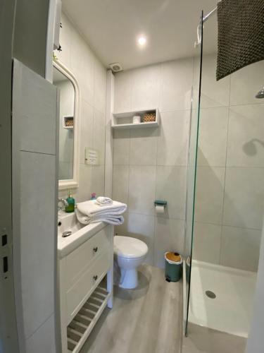 une salle de bain avec toilettes, lavabo et douche dans l'établissement Le pigeonnier, à Le Verdier