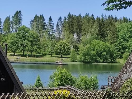 vistas a un lago con una valla de madera en Holiday Home Hexenhaus im Harz by Interhome en Clausthal-Zellerfeld