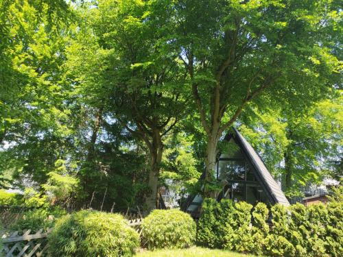 a car parked under a tree in a park at Holiday Home Hexenhaus im Harz by Interhome in Clausthal-Zellerfeld