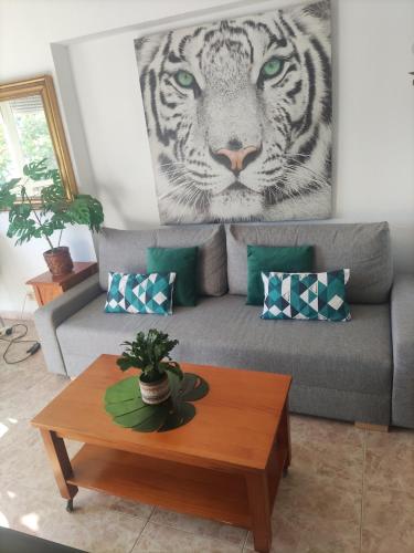 Piscis Apartamentos