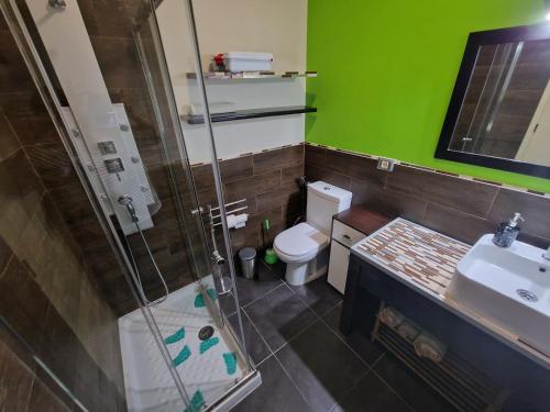 a bathroom with a shower and a toilet and a sink at Vegueta Casa Los Girasoles in Las Palmas de Gran Canaria