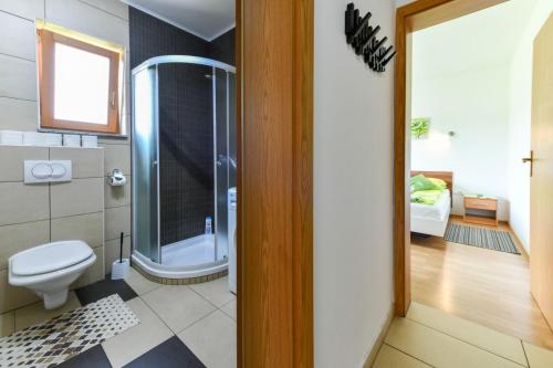 格拉博瓦茨House Matijević Šimić旅馆的带淋浴、马桶和水槽的浴室