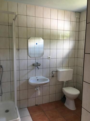 ŻabnicaにあるAgroturystyka Pod Wierchamiのバスルーム(トイレ、洗面台付)