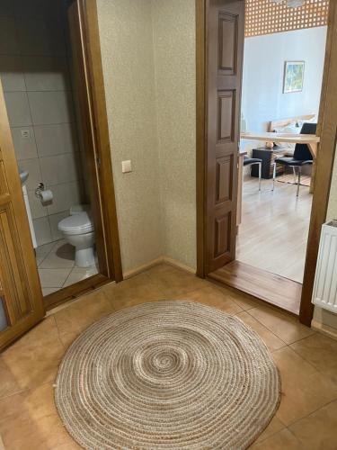 a large rug on the floor of a bathroom with a toilet at Central Courtyard in Slavske