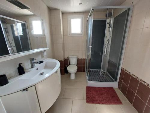 a bathroom with a shower and a sink and a toilet at Greg's House in Charmoy