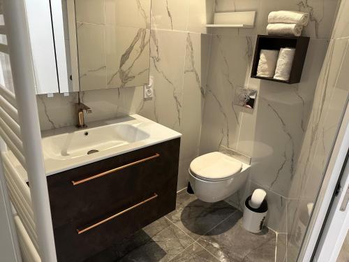 Un baño con un lavabo blanco y un inodoro. en LA TORNADE Villa roof top hypercentre Vichy, en Vichy