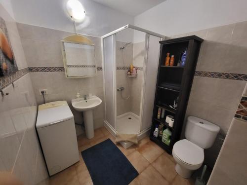a bathroom with a shower and a toilet and a sink at Studio with garden in Arona