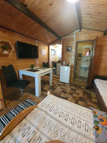 a room with a bed and a desk and a television at Domki letniskowe pod Brzozami Stella in Polańczyk