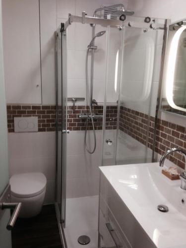 a bathroom with a shower and a toilet and a sink at Apartmenthaus Seetempel in Scharbeutz