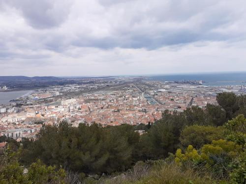 Příroda nedaleko apartmánu
