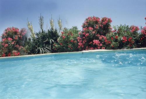 a swimming pool with trees and flowers in the background at La Maison des Armas in Les Vans