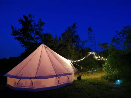 a tent in the grass at night with lights at Glempinga telts SMILGA in Liepāja