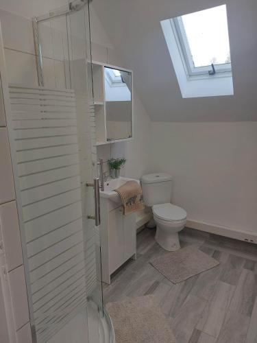 a bathroom with a toilet and a sink and a skylight at Jagodzianka in Miłki