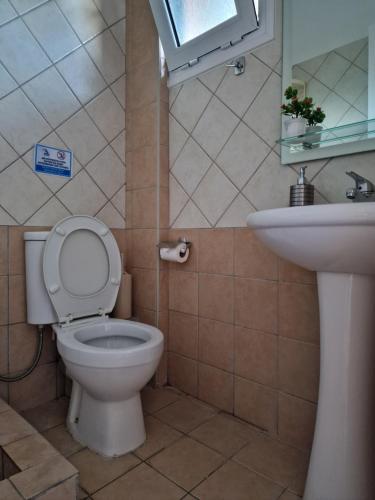 bagno con servizi igienici e lavandino di Lemi Apartments a Rizá