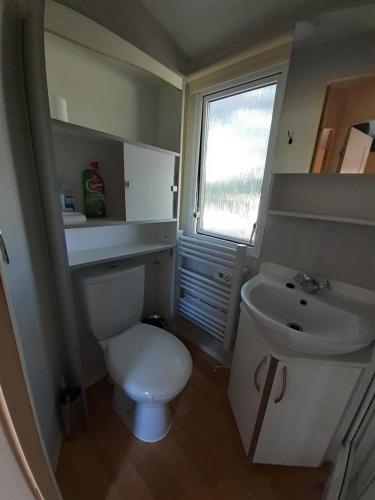 a bathroom with a white toilet and a sink at Herbes de Pampa in Maringues